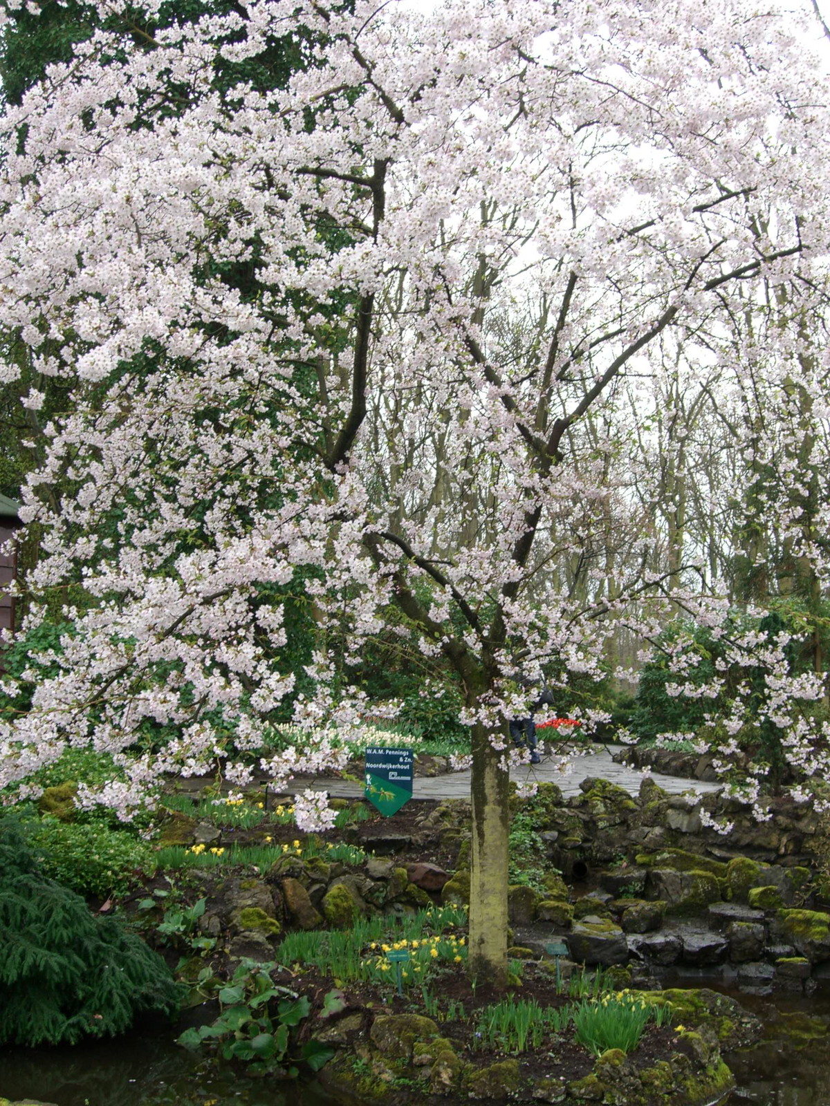 Netherlands Keukenhof